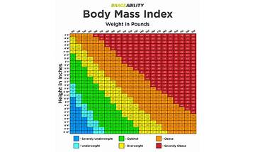 FREE BMI Calculator For Athletes New Fast Accurate Results [2023]